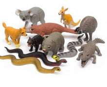 Load image into Gallery viewer, Nature tube - Australian animals