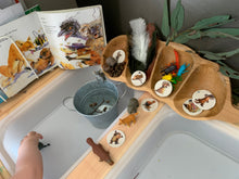 Load image into Gallery viewer, Nature tube - Australian animals