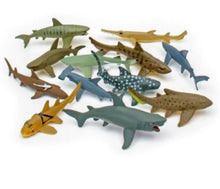 Load image into Gallery viewer, Nature tube - shark