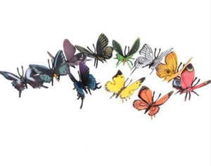 Nature tube - Butterflies