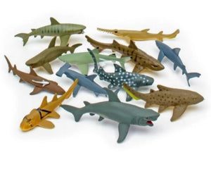 Nature tube - shark